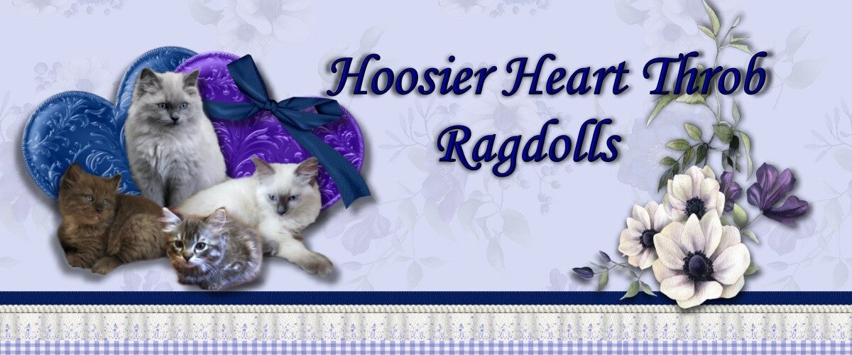 Hoosierheartthrobragdolls.com